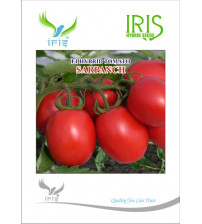 Tomato Iris F1 Sarpanch (Heat) 10 grams